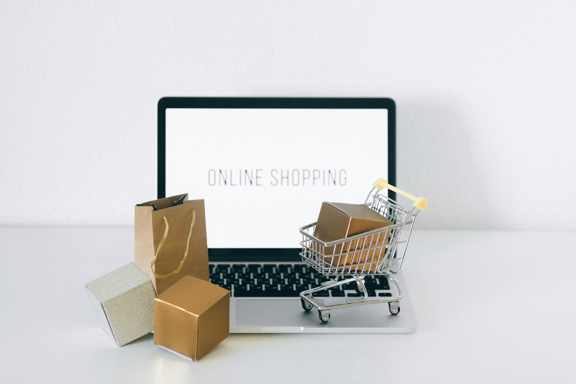 電商平台包括蝦皮購物、momo購物網、PChome、樂享購和SHOPBACK的購物界面和會員制度，背景為網購場景，突顯不同平台的用戶評測和購物體驗。